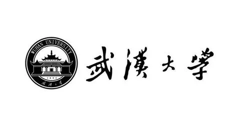 武汉大学